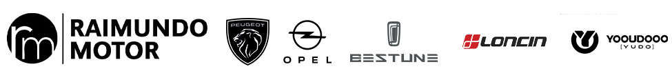 Logo Raimundo Motor